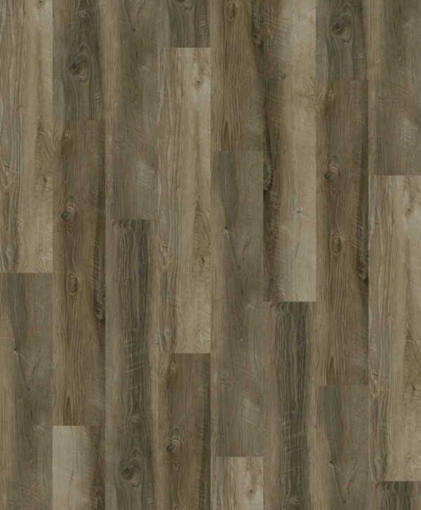 T-319-09 - Image 2