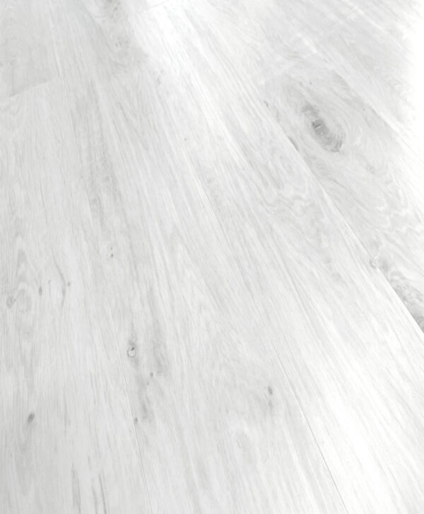 T-29149-7 - Image 2